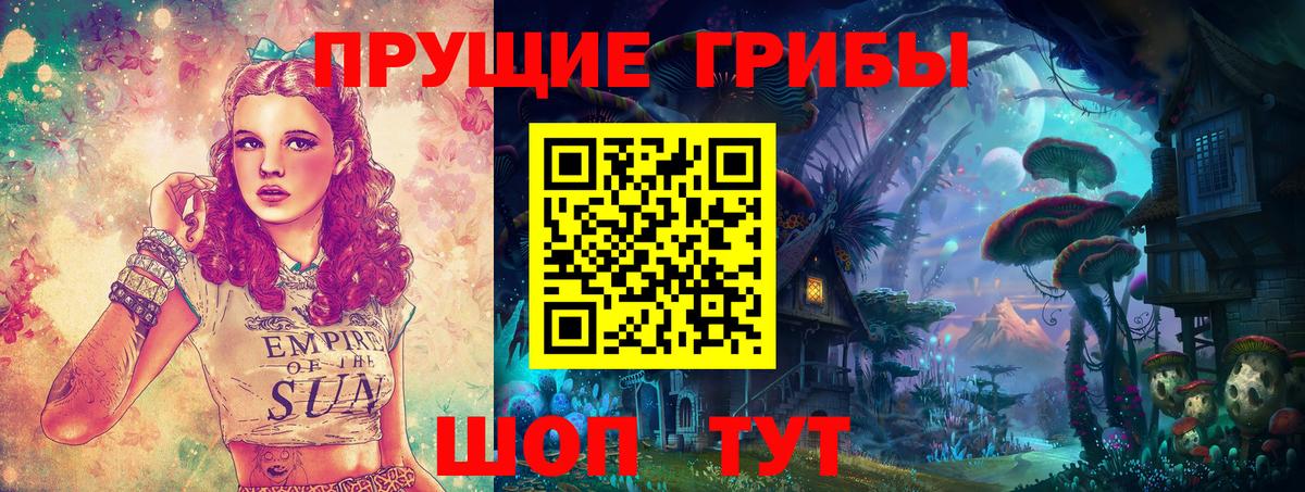 Псилоцибиновые грибы GOLDEN TEACHER  Вход с VPN  Соль-Илецк 